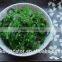 Frozen Sea Foods Hiyashi Wakame Seasoned Seaweed Salad, Japanese Chuka Salad