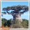 Locating at scenic spot, Certificate with SGS ISO, outdoor decorative artificial baobab tree