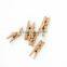 wooden Clothespins
