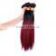 Wholesale fast shipping virgin Indian hair vendors , ombre hair