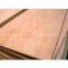 commercial bintangor plywood