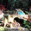 Kawah 2.5m Velociraptor Mechannical Dinosaur for Theme Park