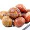 China factory supply high quality small bag packaged Organic Peeled Roasted Chestnuts