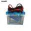 protein electrophoresis gel electrophoresis equipment