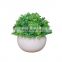 Home Decoration Simulation Potted Semi-round Ball Simulation Grass Bonsai Artificial Bonsai Plant With Round Pot