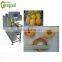 small capacity apple chips drying processing plant