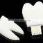 Dentist gifts tooth shape usb flash drive                        
                                                                                Supplier's Choice