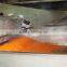 Mesh belt dryer for carrot