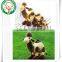 OEM design Best toy camel Plush Toy