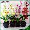 wholesale artificial flower cymbidium bonsai for home decoration