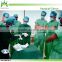 Disposable latex surgical gloves factory