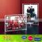 Professional acrylic cheap picture frames in bulk