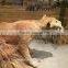 High Simulated Vivid Lifesize Animal Figures for Exhibition