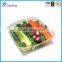 PET disposable plastic fruit container/salad boxes