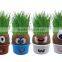 Novelty Fun Kids Plants Doll Grass Head Doll