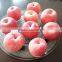 Pome Fruit Product Fresh Apple Type Fuji Apple sale by bulk