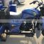 250cc/200cc three wheel Cargo motorcycle