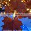led maple tree
