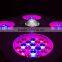 Dual Veg/Flower Spectrum Grow Light 800w LED with Super COB Module