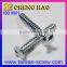 Taiwan Supplier One Way Security M5 Screw Zinc