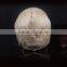 PVC animal skull figures,Plastic human skull figurines,skull model,