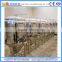 fresh beer fermenting tank for commercial beer making
