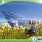 low price high efficiency solar panel 250w poly solar panel with Rosh certificate