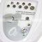 best Detox spa machine body detox facial machine beijing fogool