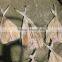 dried queenfish