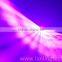 600mW Romantic Rose laser light