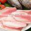 2016 new coming frozen tilapia fillet wholesale price