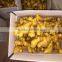 New Crop Fresh Ginger/air Dry Ginge for Export