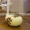 Magic Bean Aroma Diffuser / ultrasonic air humidifier