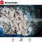 machines for Frozen champignons halves/dices/slices China brands