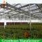 Large scale Multi-span PC sheet/board Greenhouse for Flower Plant