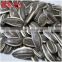 dried sunflower seeds for snack food or cooking