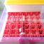incubator for pigeon eggs with CE certification and high hatching rate WQ-72