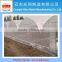 Agricultural plastic film greenhouse