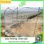Agricultural Single Span Greenhouses