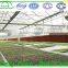 Traditional Glass Greenhouse - Glass House