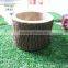 decorative natural tree wood trunk