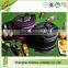 Durable deluxe pop-up insulated lunch picnic&fitness cooler bag(Z-GB-008)