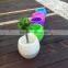 mini decorated fancy cute self watering flower pot