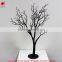 Home and office decorative tree for showcase dry tree branches for sale