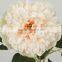 China Moon Peony Artificial Flower Best Sell for Home Decoration Wholesle