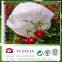 Customization Width and 15-100gsm,PP non-woven,100% Polypropylene Material tomato plant protective cover