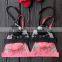 Runwaylover 5512 Sexy Ladies Embroider Sexy Lace Bra