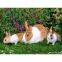 test image upload