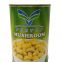 Factory Price Premium Canned Mushroom Whole in Brine 2840G