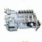 shanghai c6121 diesel engine fuel injection pump longbeng P10Z010 BH6P110